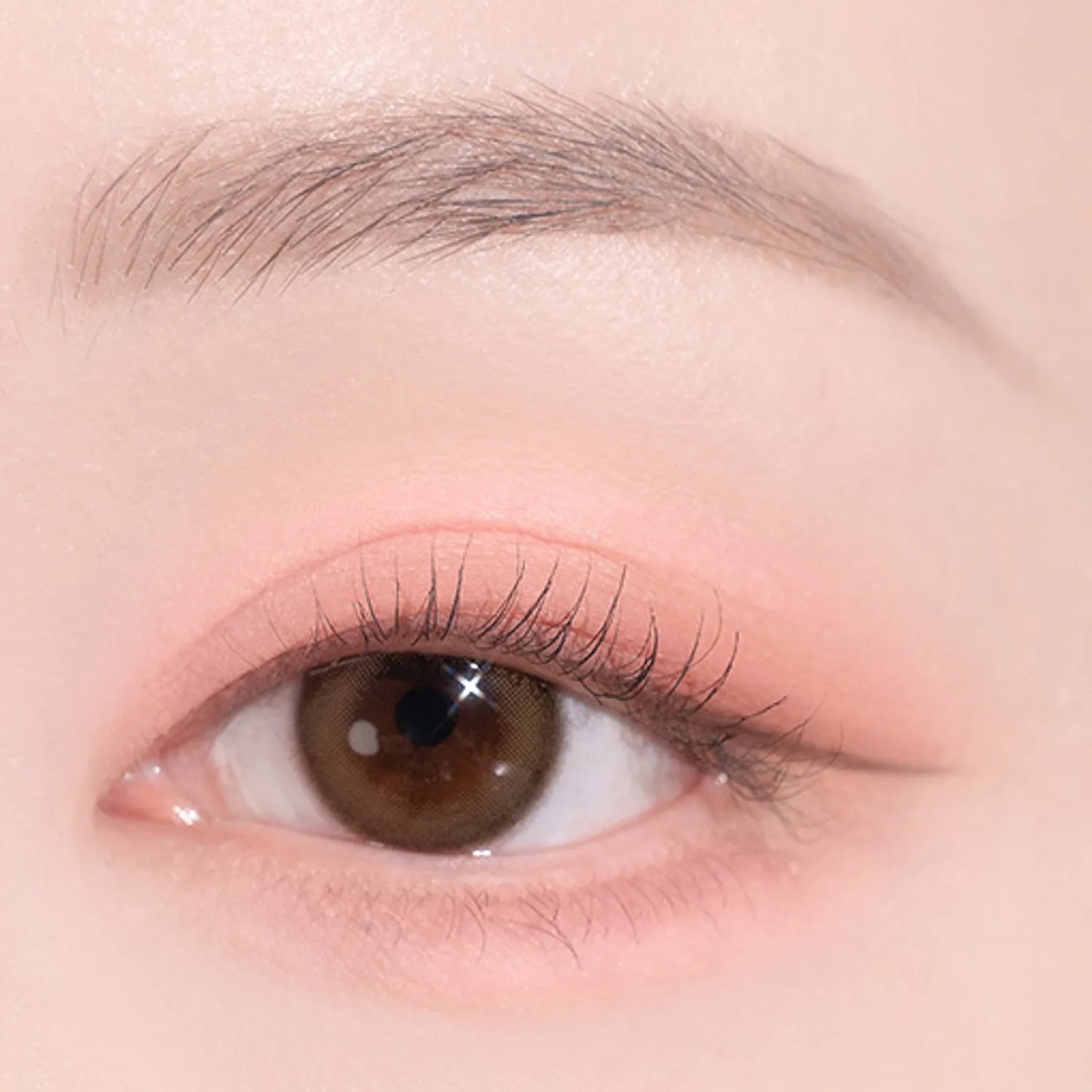 dasique Shadow Palette
