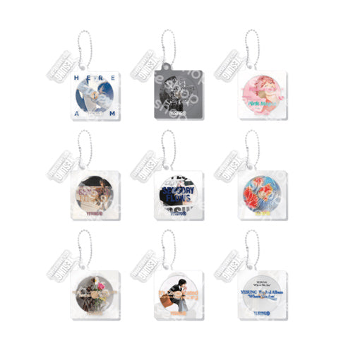 SUPER JUNIOR YESUNG 10TH ANNIVERSARY TOUR RANDOM ALBUM KEYRING