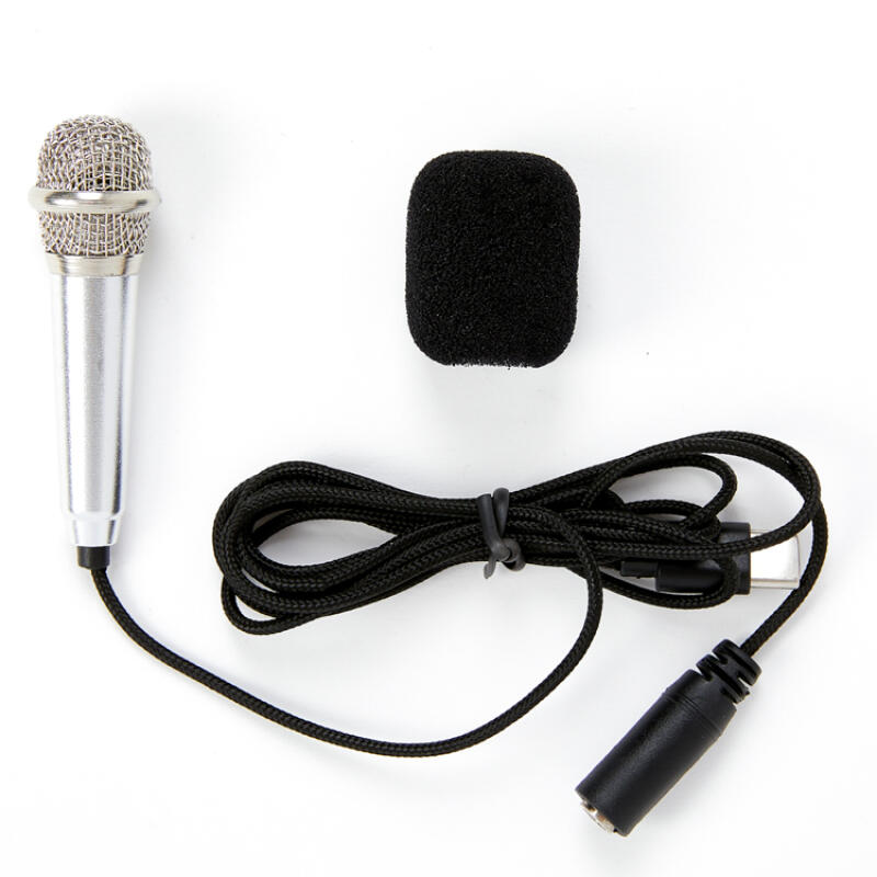 Smartphone Mini Microphone – Silver / Type-C