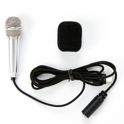 Smartphone Mini Microphone – Silver / Type-C