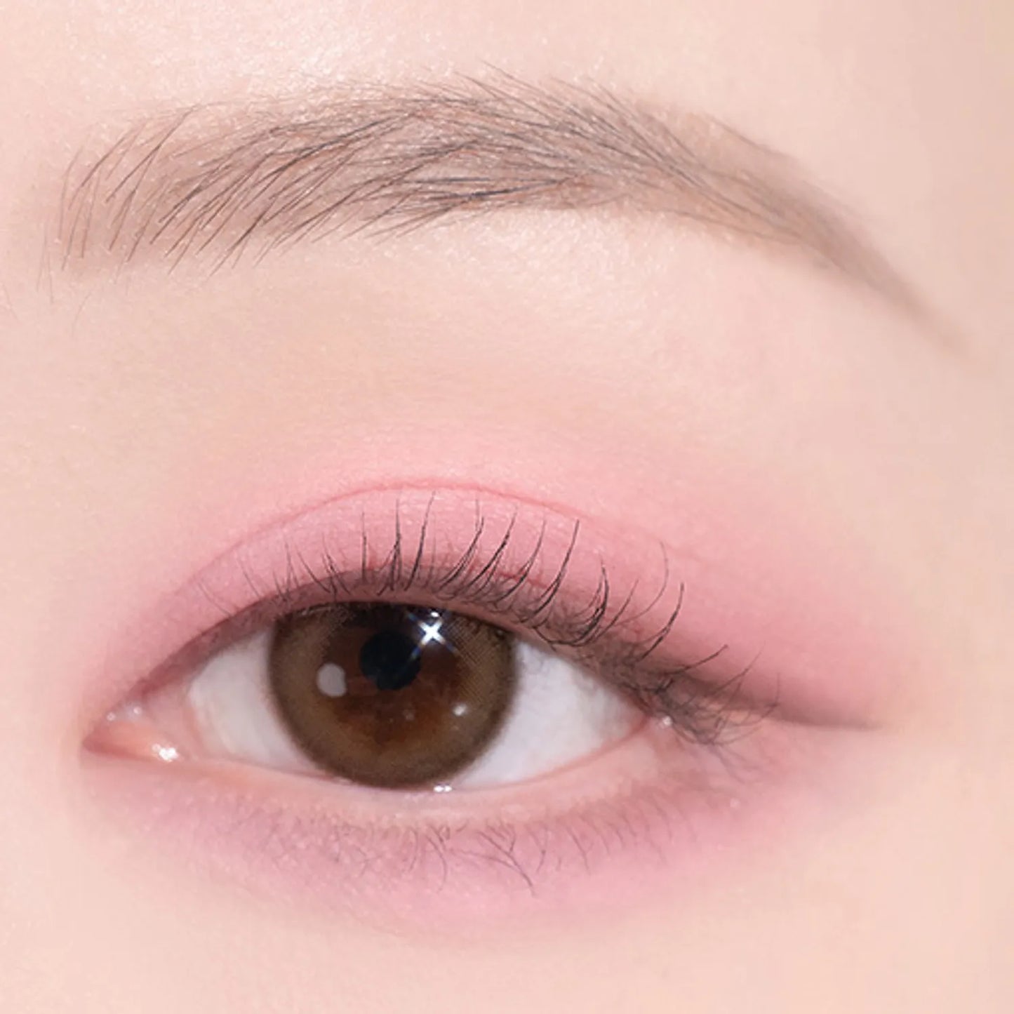 dasique Shadow Palette