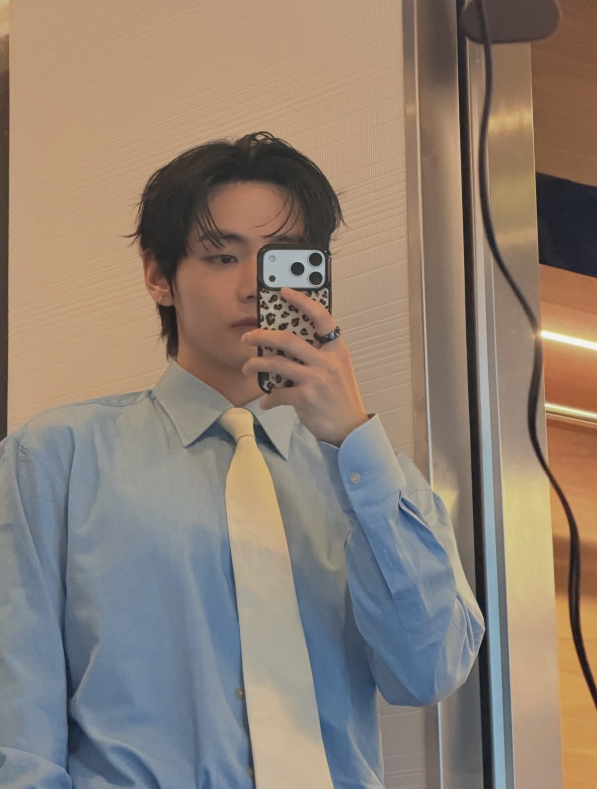 Lily Daily Leopard Bumper Phone Case (BTS V Wear)