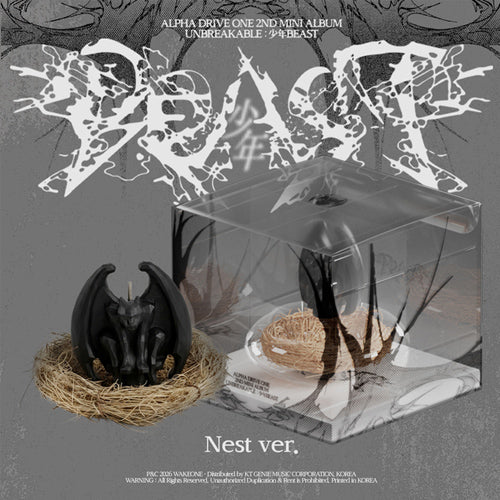ALPHA DRIVE ONE 2nd Mini UNBREAKABLE : 少年BEAST_Nest Ver.
