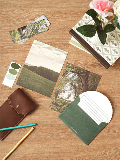 Emotional Letter Set 4 Set Green [DAISO]