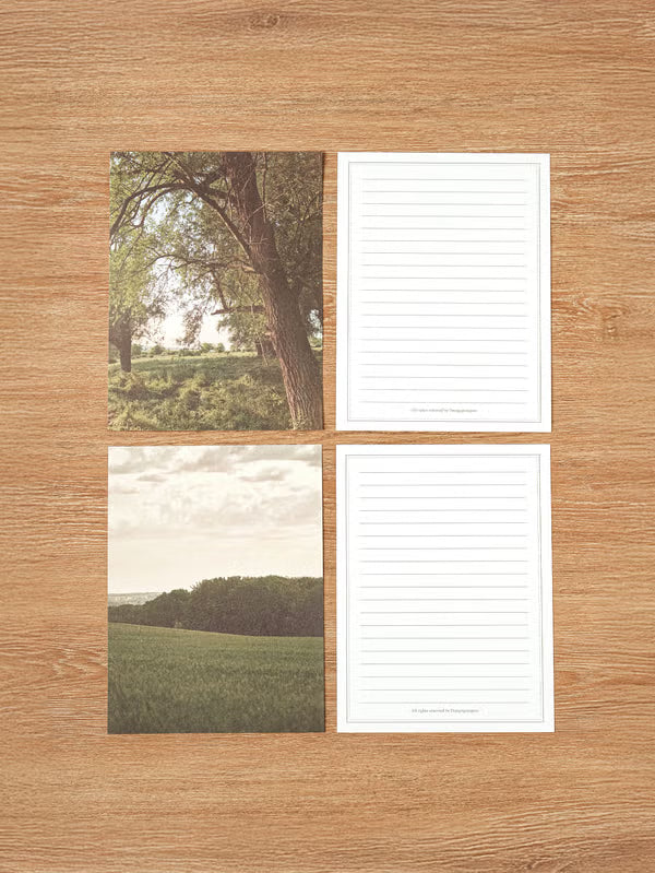 Emotional Letter Set 4 Set Green [DAISO]