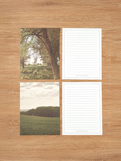 Emotional Letter Set 4 Set Green [DAISO]
